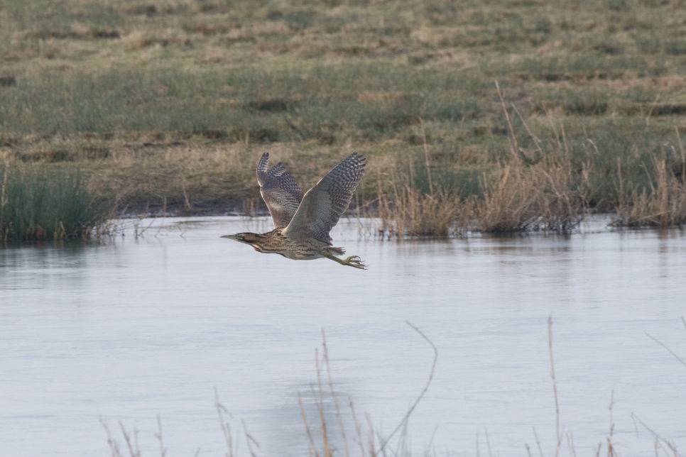 Latest Sightings